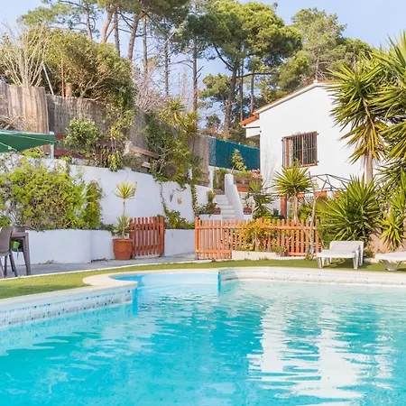 Palme -