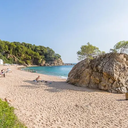 Palme - Willa Lloret de Mar